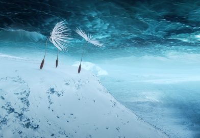 Cinéma – La sortie du film « Planètes » le 11 mars 2026