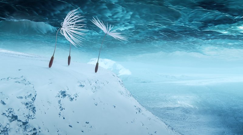 Cinéma – La sortie du film « Planètes » le 11 mars 2026