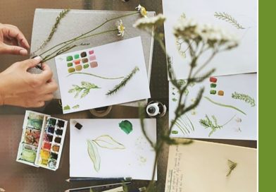Praz-sur-Arly – « Arlyca Montana », un festival des plantes de montagnes les 11 et 12 juillet 2026