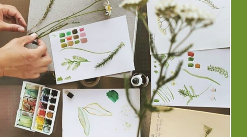 Praz-sur-Arly – « Arlyca Montana », un festival des plantes de montagnes les 11 et 12 juillet 2026